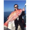 Image 2 : 1 Day Louisiana Offshore Fishing Trip for up to 6 People