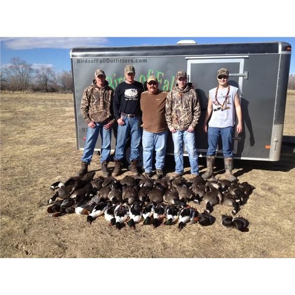 2 Day Colorado Goose Hunt for 4 Hunters
