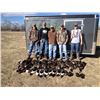 Image 1 : 2 Day Colorado Goose Hunt for 4 Hunters