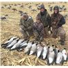 Image 2 : 2 Day Colorado Goose Hunt for 4 Hunters