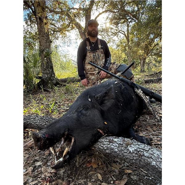 1 Day Gator and Trophy Hog Hunt for 1 Hunter