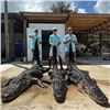 Image 2 : 1 Day Gator and Trophy Hog Hunt for 1 Hunter