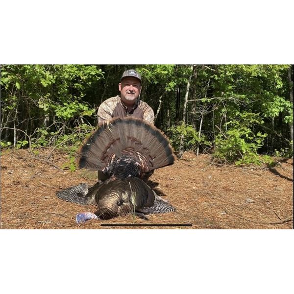 3 Day Maryland Turkey Hunt for 2 Hunters