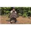 Image 1 : 3 Day Maryland Turkey Hunt for 2 Hunters