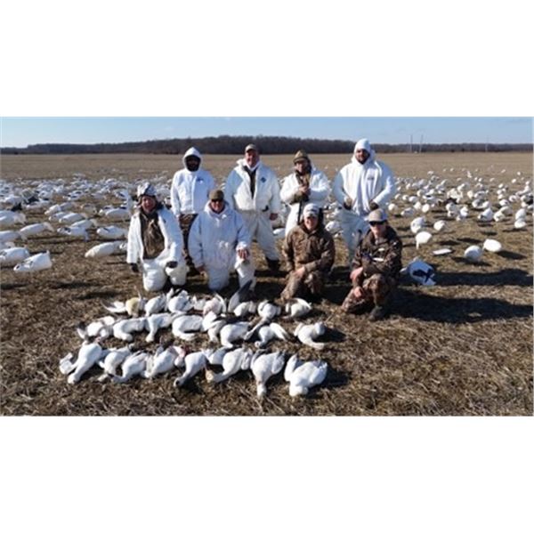 1-Day Delaware Conservation Snow Goose Hunt for Up to 6 Hunters