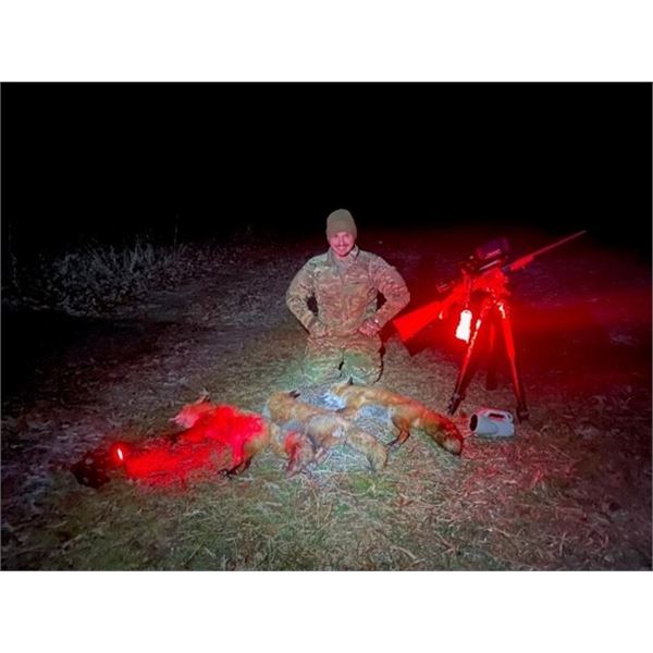 Maryland 2-Night Guided Fox Hunt for 1 Hunter