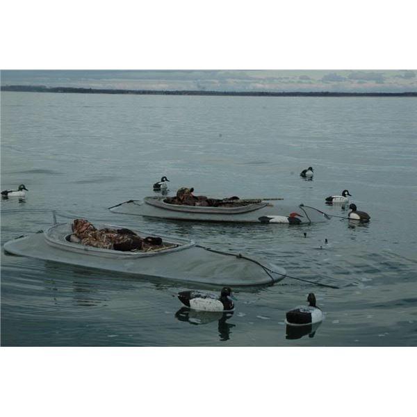 1-Day Chesapeake Bay Layout Boat Sea and Diver Duck Hunt for 4 Hunters