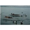 Image 1 : 1-Day Chesapeake Bay Layout Boat Sea and Diver Duck Hunt for 4 Hunters