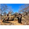 Image 1 : 7 Day all Inclusive South Africa Plains Game Hunt for 2 Hunters