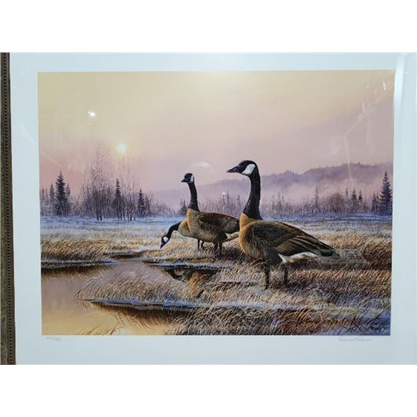 Print Goose in Morning Mist