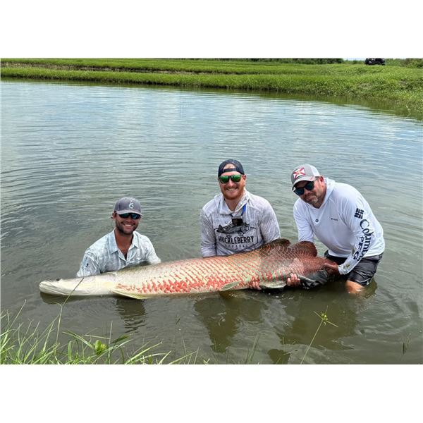 Jurassic Living Jewels – Florida Arapaima Fishing Trip for 2
