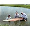 Image 1 : Jurassic Living Jewels – Florida Arapaima Fishing Trip for 2