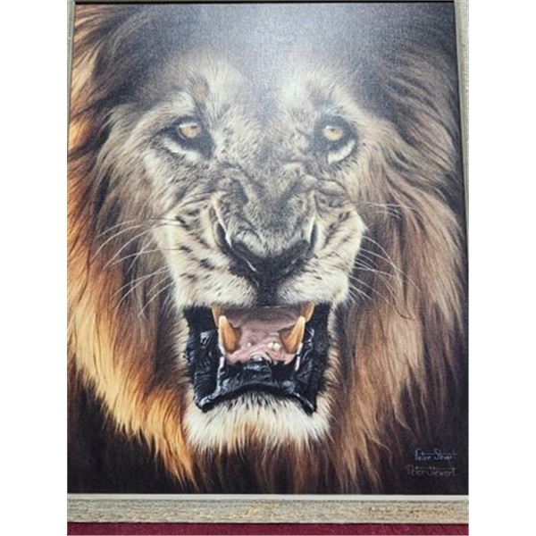 SCI Artist of Year – Majestic African Lion