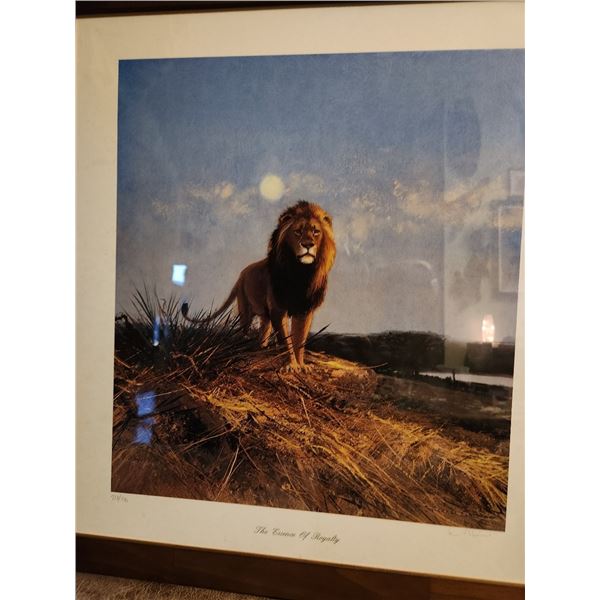 Framed Print – “Lion – Essence of Royality”