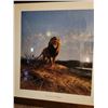 Image 1 : Framed Print – “Lion – Essence of Royality”