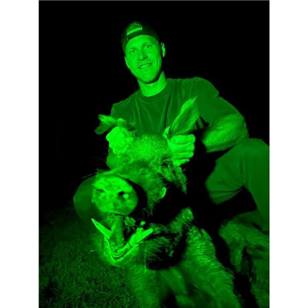 Bienvenue Outdoors – Thermal Hog Hunt for 2