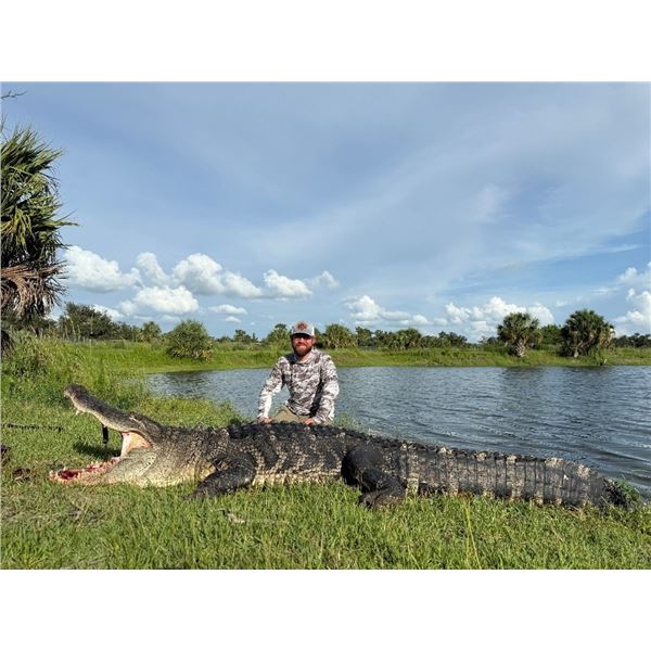 Double D Gators – Florida Gator Hunt