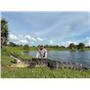 Image 1 : Double D Gators – Florida Gator Hunt