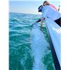 Image 1 : High Class Hookers – Florida Tarpon Fishing Trip for 2