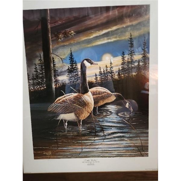 Geese – Midnight Honkers Framed Print