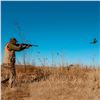 Image 2 : Pheasant Bonanza Hunt Club & Kennel