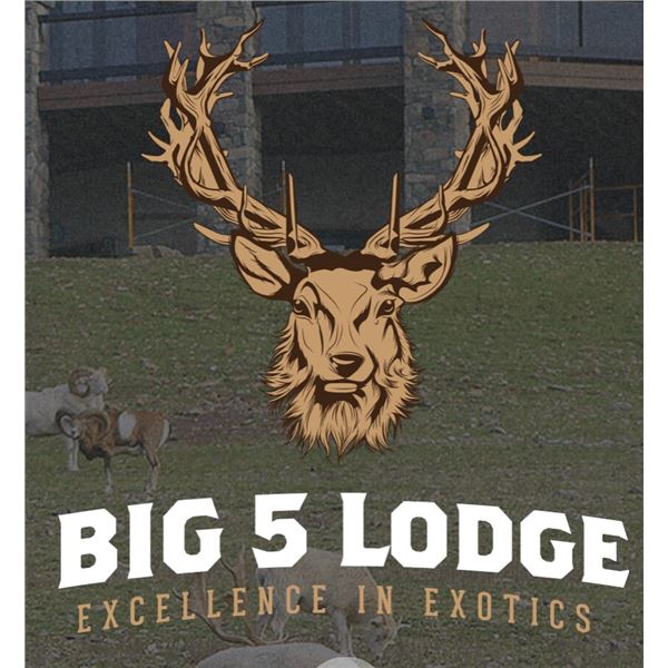 Pennsylvania Youth Cow Elk Hunt at Big 5 Lodge