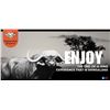 Image 2 : Shingalana Safaris: South Africa White Rhino Vita-Dart Safari