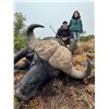 Image 2 : JANNIE OTTO SAFARIS: 4 Days Plains Game Hunting & 3 days Victoria Falls Photo Safari