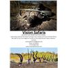 Image 1 : Vision Safaris Buffalo cow Hunt Package for Two
