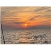 Image 2 : High Adventure Sportfishing on Lake Ontario