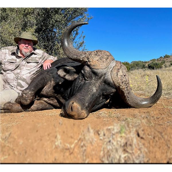 Vos & CO - 6-Day Trophy Cape Buffalo Hunt in South Africa