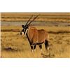 Image 1 : Namibia Big Game Hunt For 3 Hunters – 6 Days