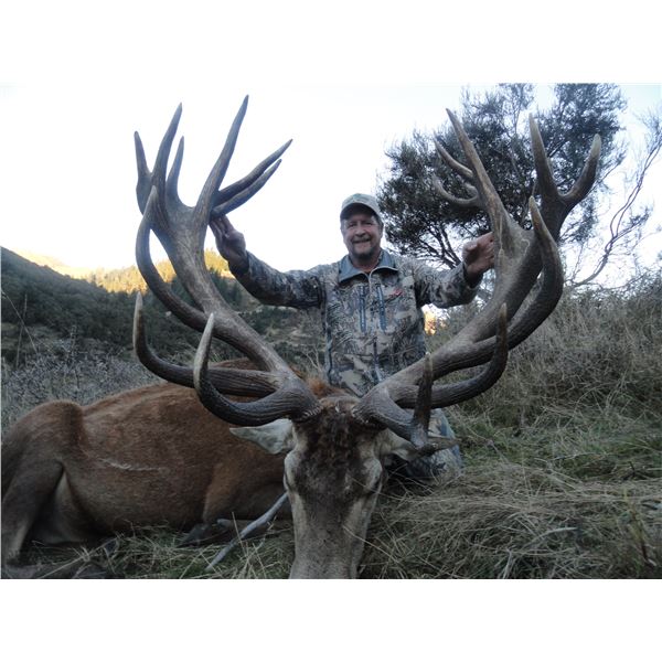 New Zealand Red Stag Hunt with Spey Creek Trophy Hunting
