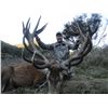 Image 1 : New Zealand Red Stag Hunt with Spey Creek Trophy Hunting