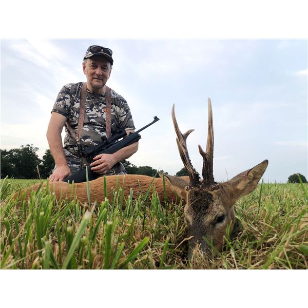 Spanish Roe Deer Hunt with SpainSafaris