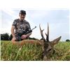 Image 1 : Spanish Roe Deer Hunt with SpainSafaris