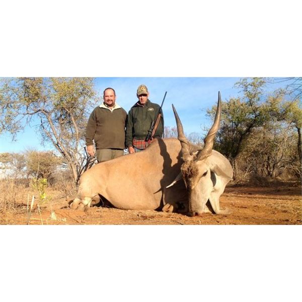 AfriHunt Safaris: 10-Day Namibia Plains Game Adventure