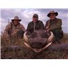 Image 2 : AfriHunt Safaris: 10-Day Namibia Plains Game Adventure