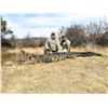 Image 1 : Shingalana Safari Crocodile Hunt - Northwest Province, South Africa