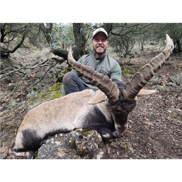 Corju Hunting - Ibex Hunt for 2 Hunters
