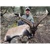 Image 1 : Corju Hunting - Ibex Hunt for 2 Hunters