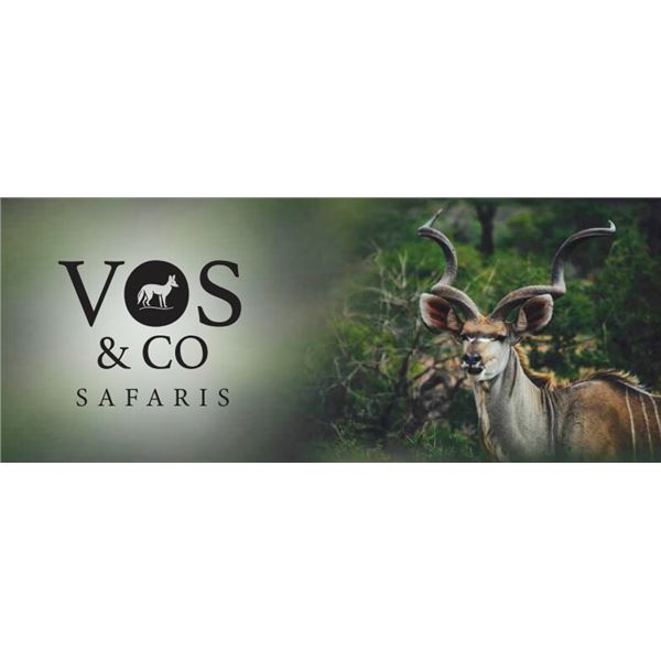 VOS & Co Safaris - 6-Day Kudu Hunt for 2 Hunters in South Africa