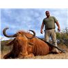 Image 1 : Steele Game Safaris - 8-Day Limpopo Hunting Safari for 2 Hunters & 2 Observers