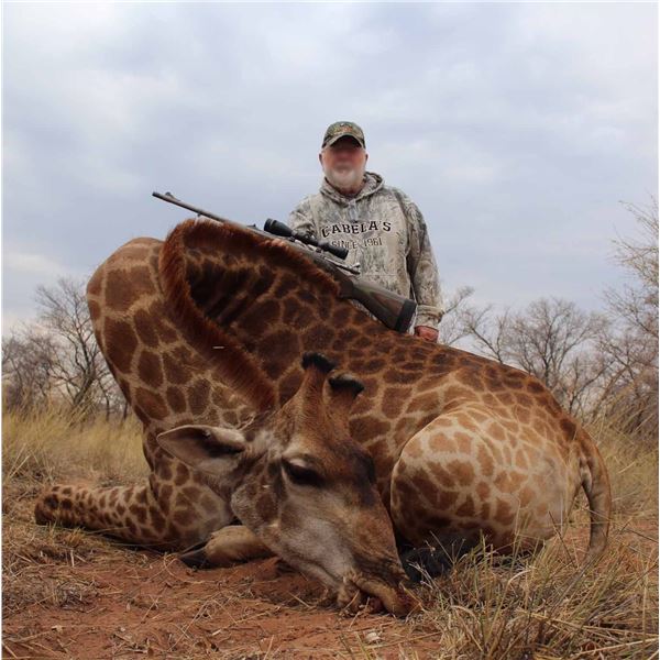 Monkane Safaris 7-Day Giraffe Hunt for 2 Hunters in South Africa