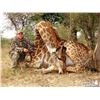 Image 2 : Monkane Safaris 7-Day Giraffe Hunt for 2 Hunters in South Africa