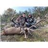 Image 1 : Giuseppe & Curro Carrizosa- Red Stag Hunt in Spain