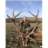 Image 2 : Giuseppe & Curro Carrizosa- Red Stag Hunt in Spain