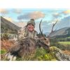 Image 1 : Ireland Free-Range Hunt for Sika Deer, Red Sika Hybrid for 1 Hunter