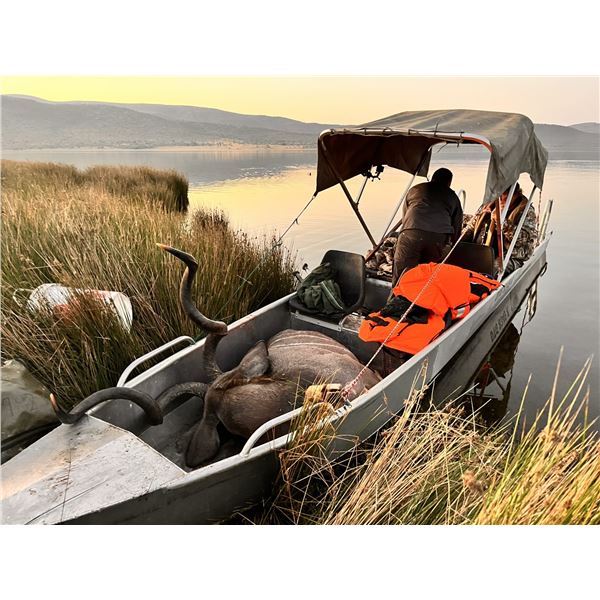 Thormahlen & Cochran Safaris - Experience the Ultimate African Safari Adventure!