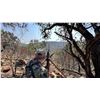 Image 2 : Thormahlen & Cochran Safaris - Experience the Ultimate African Safari Adventure!